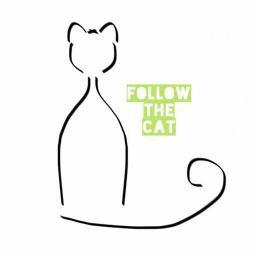 Follow The Cat