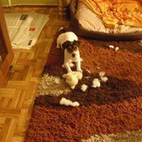 Lewińska-Pączkowska