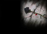 ภูมิศาสตร์กรัม