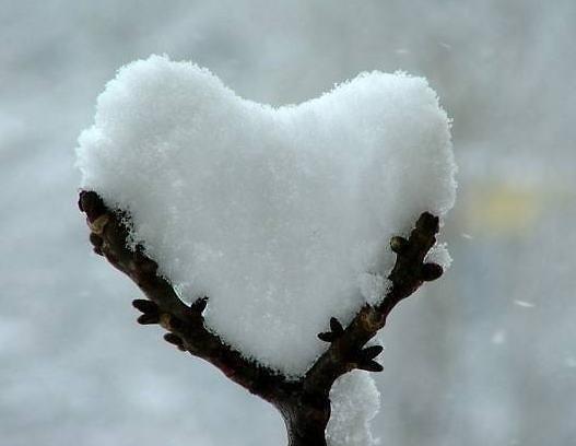 Zimowa miłość