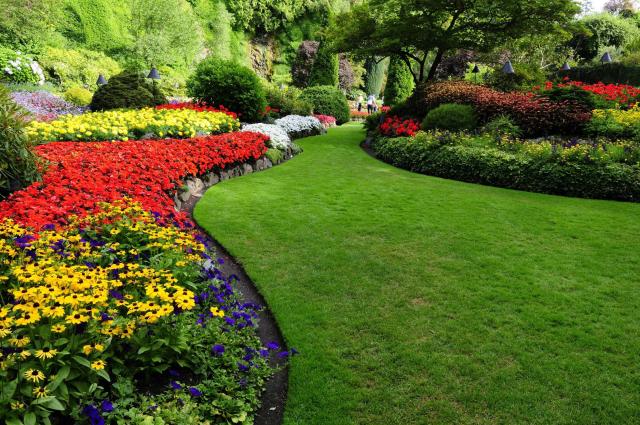Kolory barw w ogrodzie - jak dobierać kwiaty?