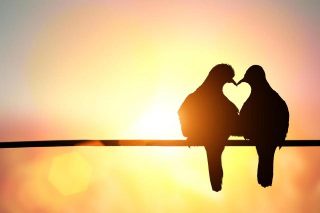 5 głupich faktów na temat pierwszej miłości, które mają się nijak do życia