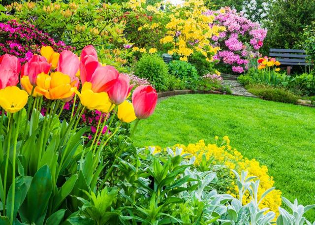 Jak zadbać o ogród wiosną?