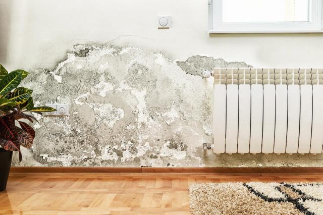 Wilgoć na ścianach – co ją powoduje i jak ją usunąć?