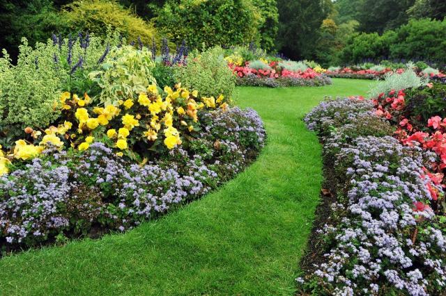 5 czynności, które musisz wykonać w ogrodzie na wiosnę