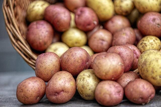 Kolorowe ziemniaki - „superfoods” po polsku