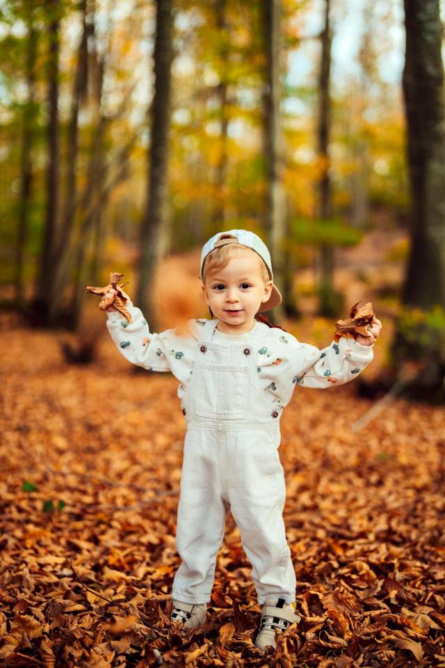 Las zamiast ekranu – co daje oczom przebywanie na zewnątrz?