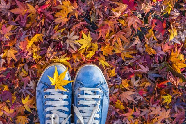 Jak kupić idealne buty na jesień?